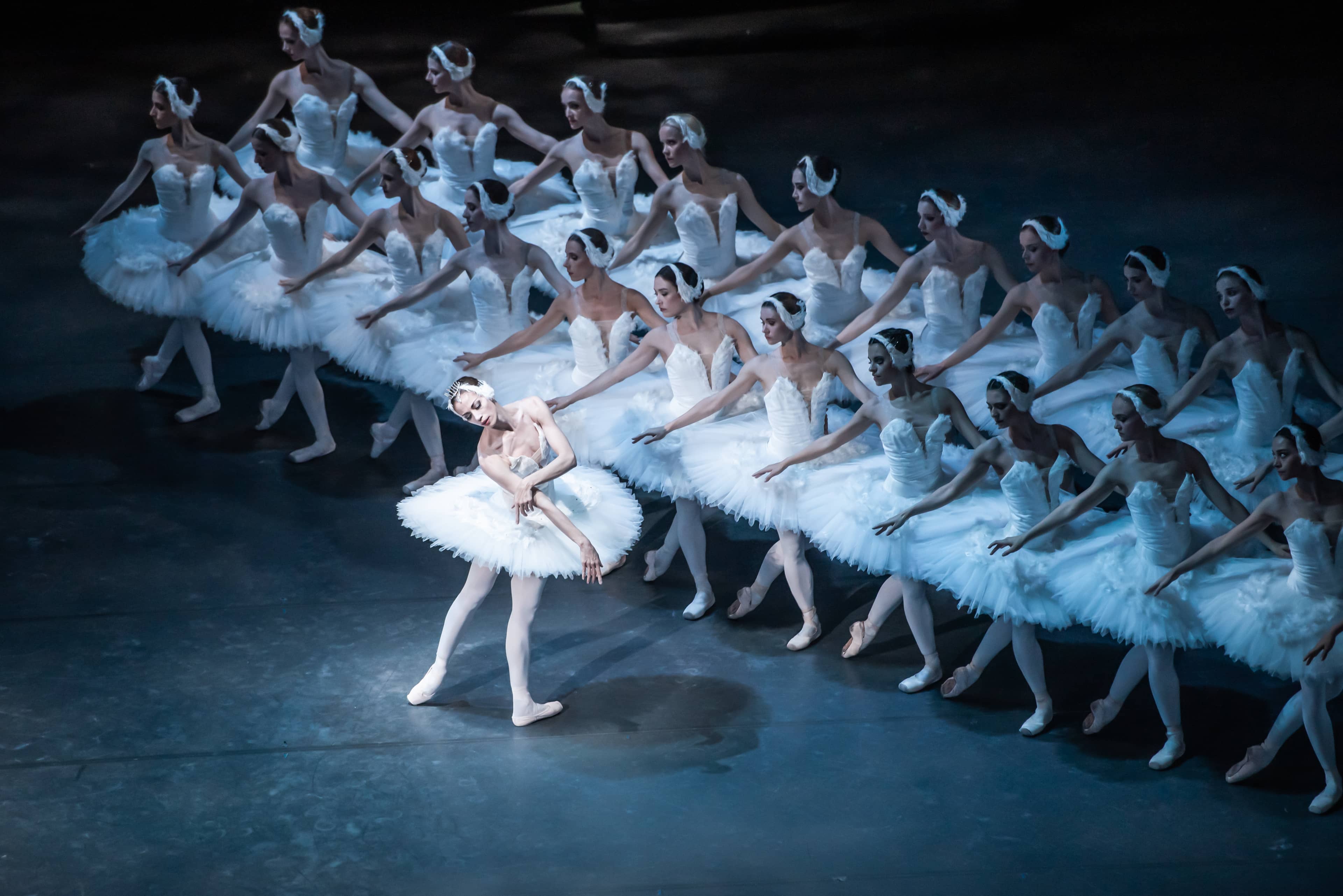Swan Lake Ballet