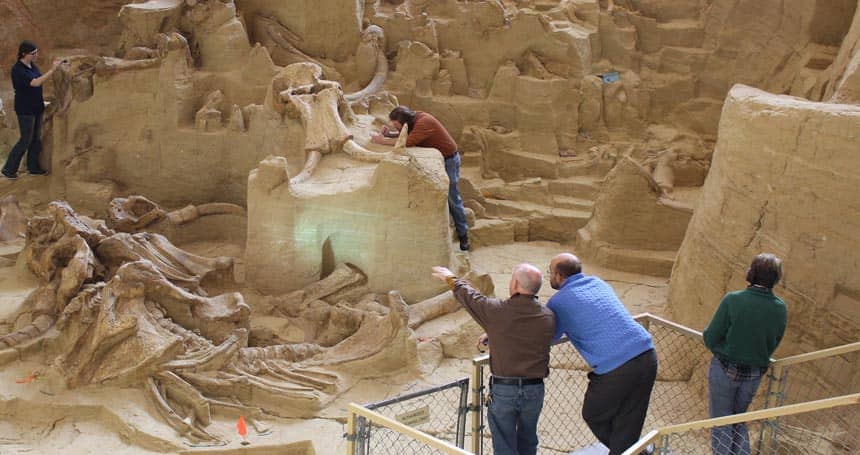 Family Dig Experience