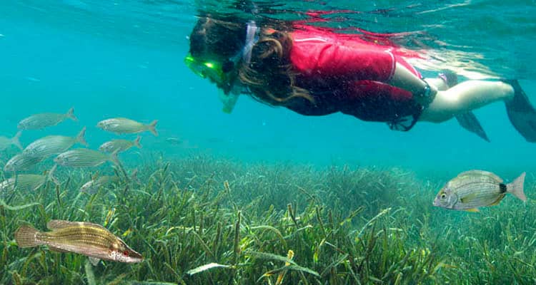 Vibrant Underwater World