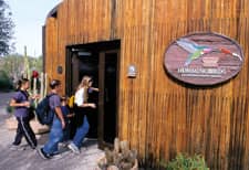 Hummingbird Aviary & Butterfly Garden