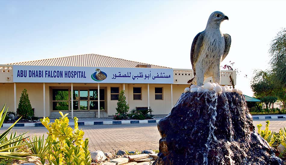 Falconry History Museum