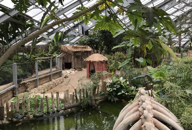 Exotic Plant Gardens