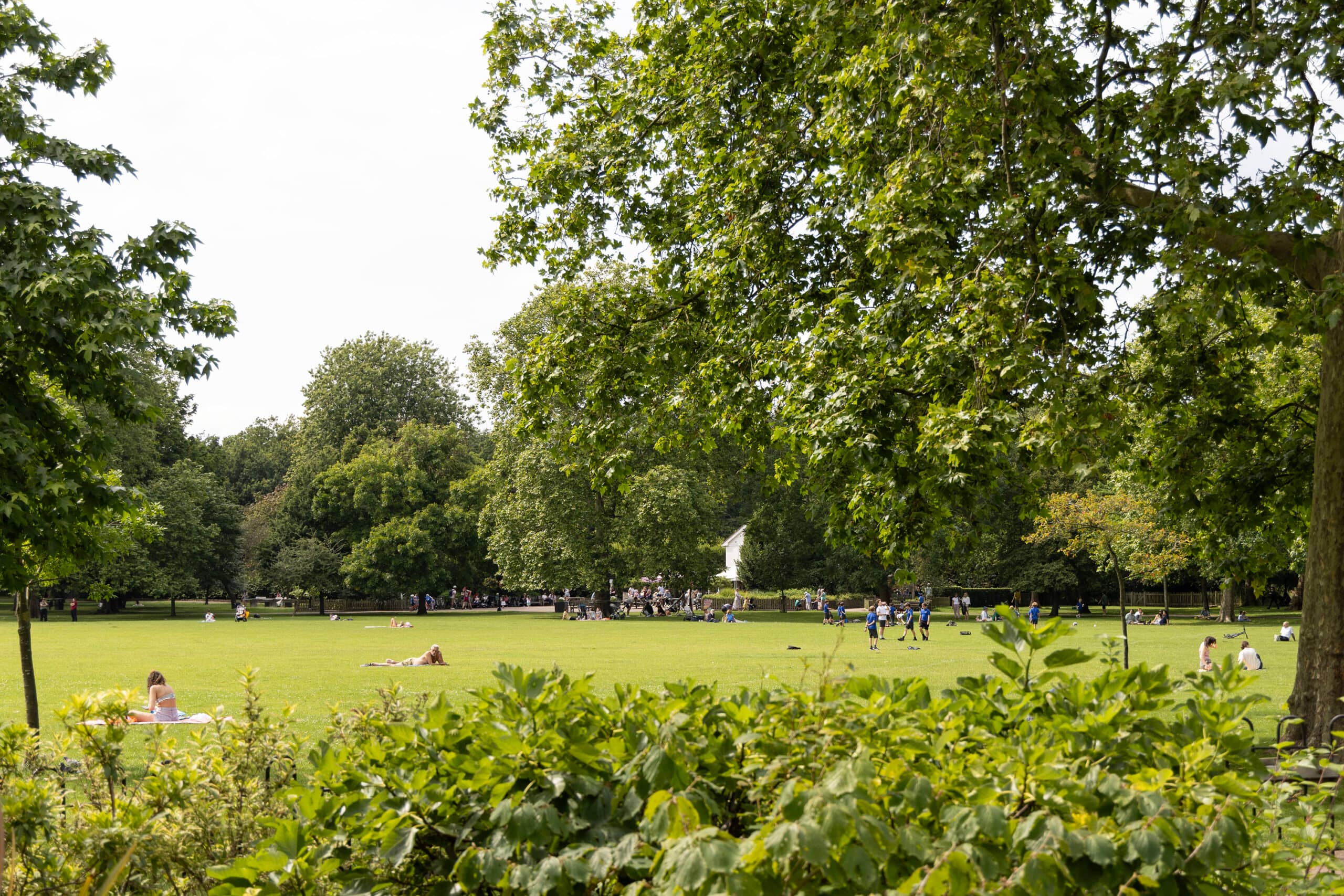Tranquil Green Escape
