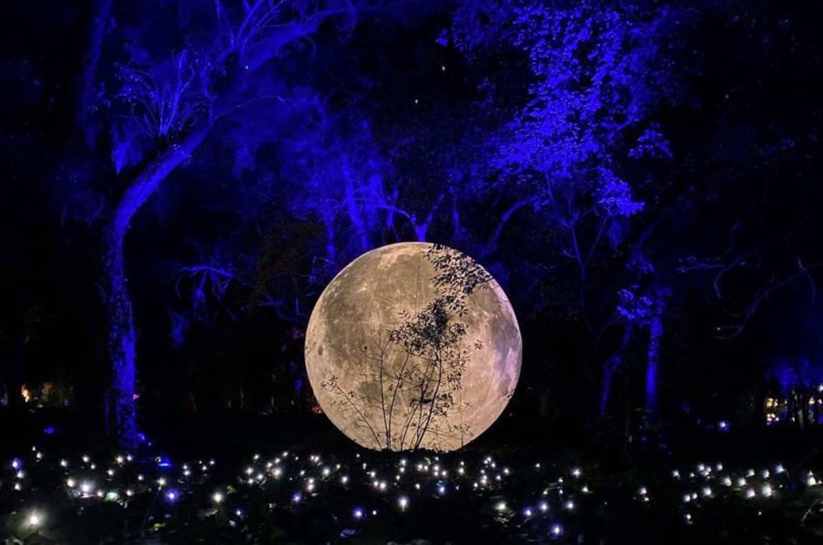 Secret Garden Light Show