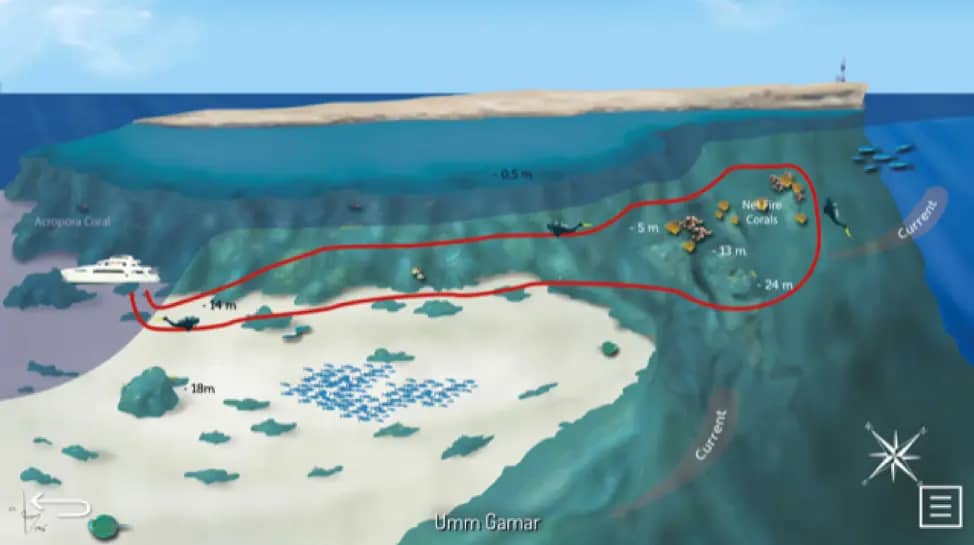 Novice Diver's Haven