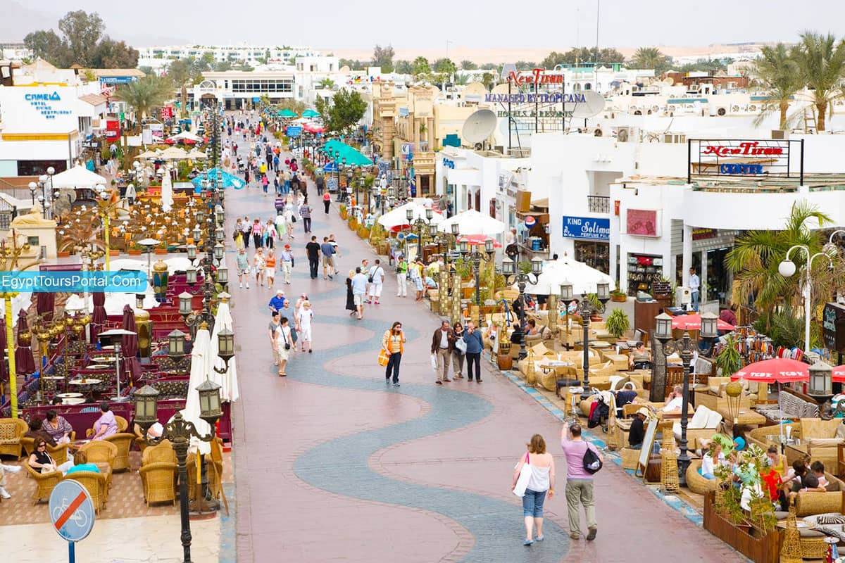 Vibrant Promenade Stroll