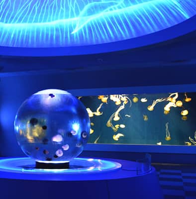 Enoshima Aquarium