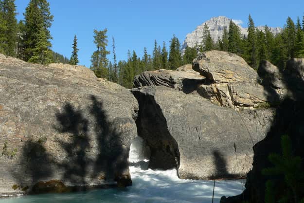 Rushing Kicking Horse River