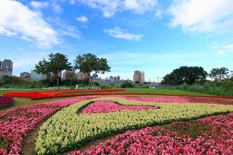 Flower Fields
