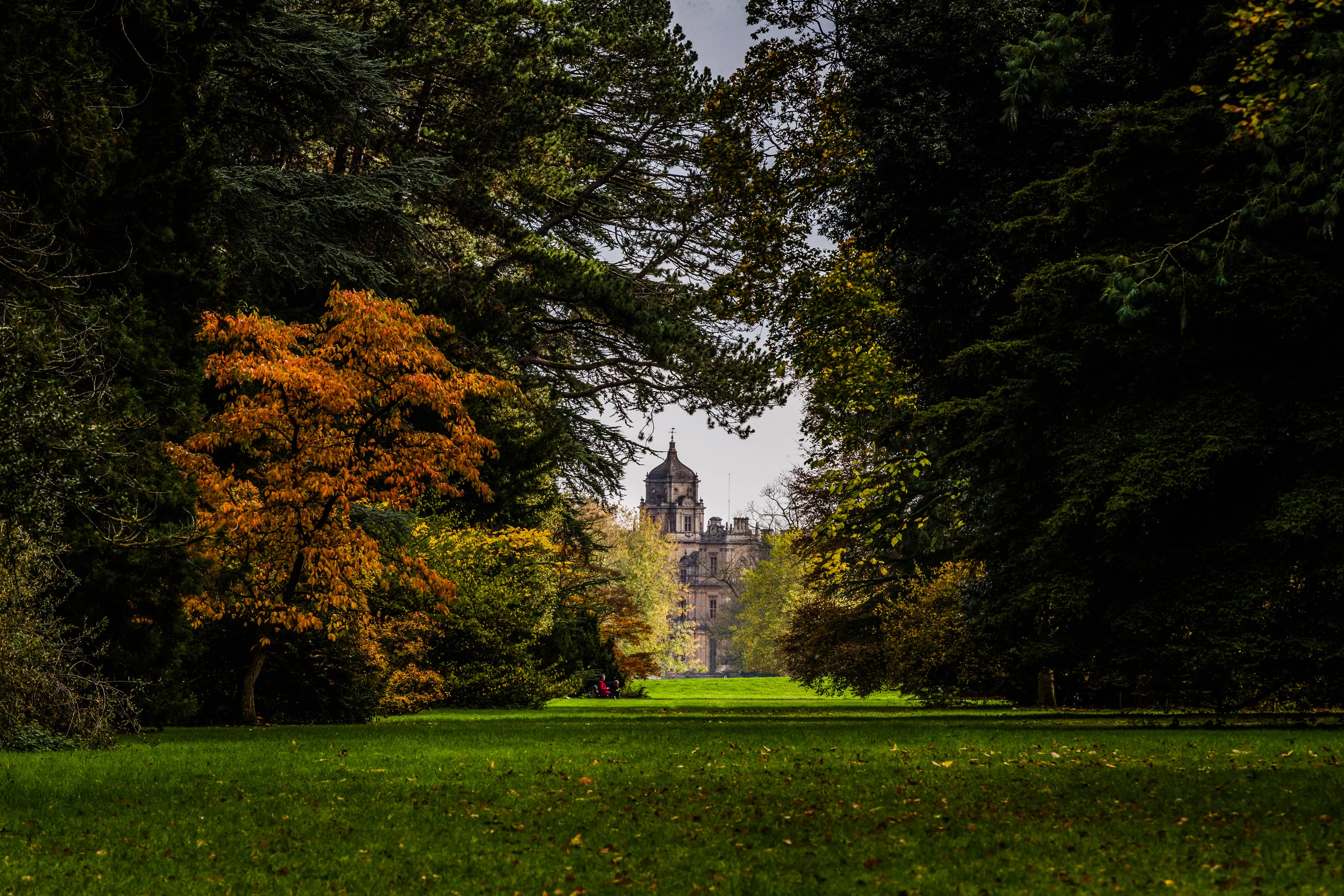 Westonbirt Arboretum (near Tetbury)