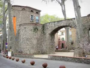 Céret's Historic Center
