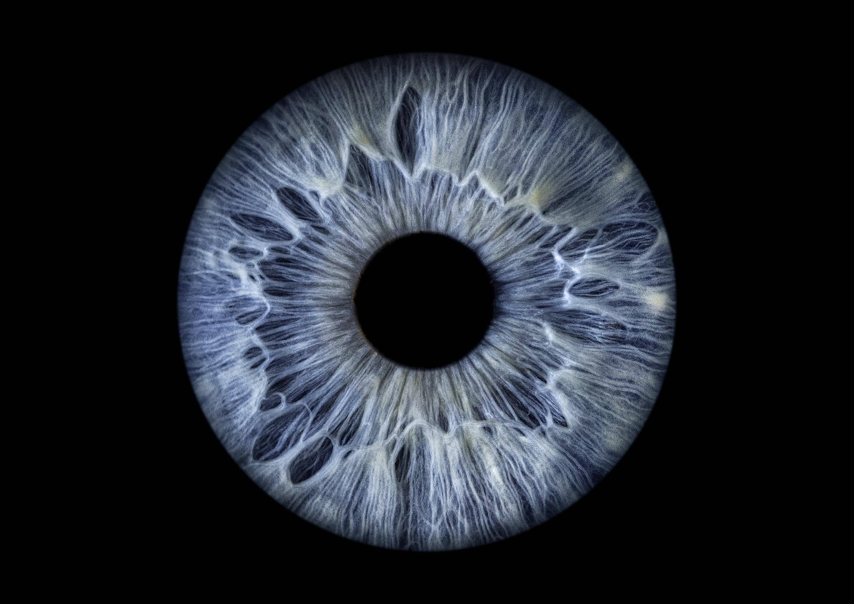 Iris Photo Art