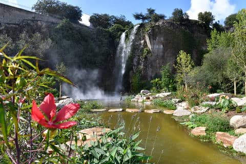 Exotic Plant Collection
