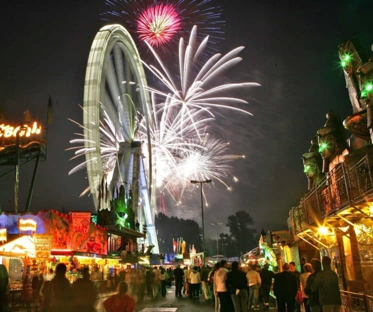 Spring Festival Delights