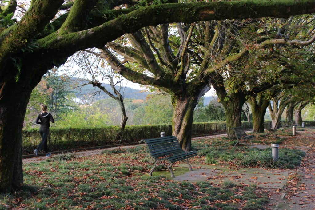 Tranquil Park Setting