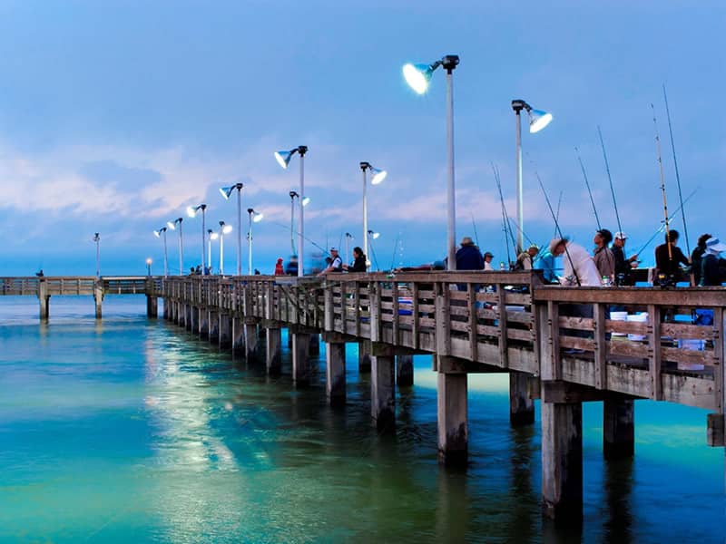 Pier Fishing