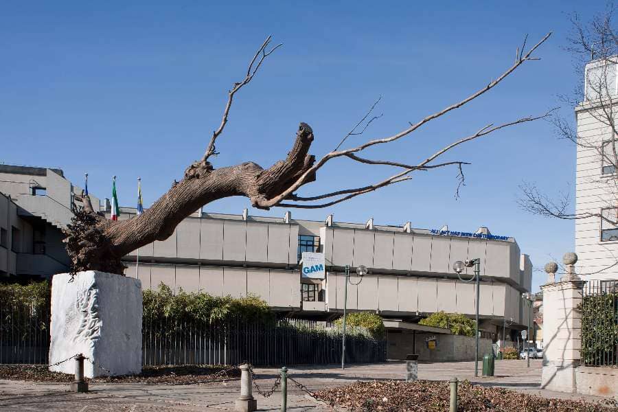 Sculpture Garden