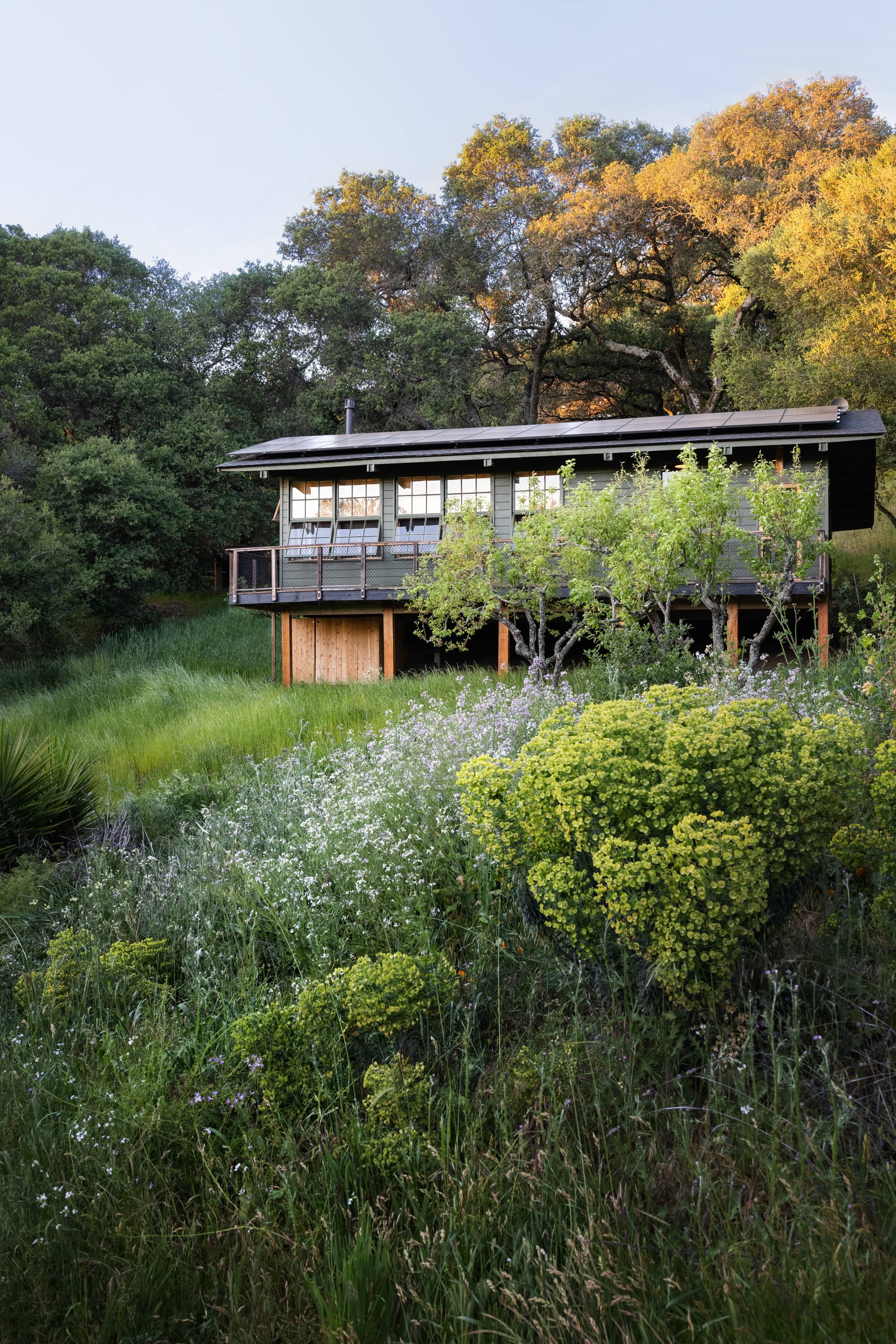 Tranquil Garden Oasis
