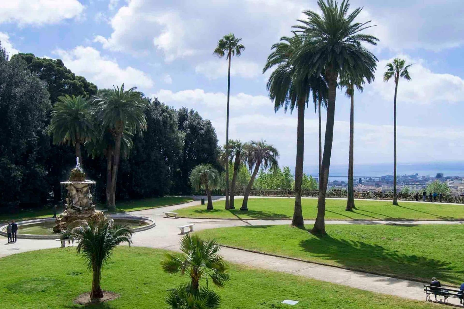Vast Green Spaces