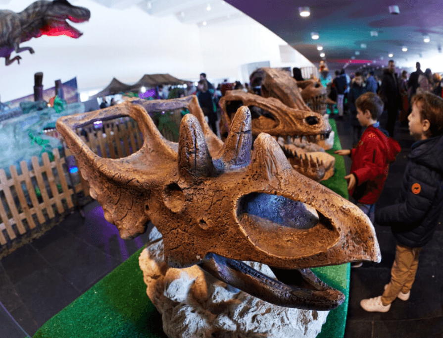 Family-Friendly Exhibitions
