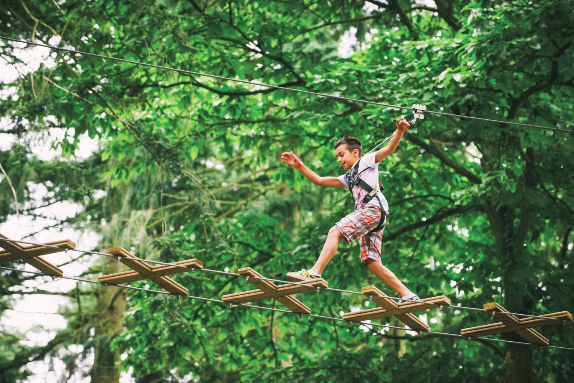 Go Ape Zipline & Adventure Park