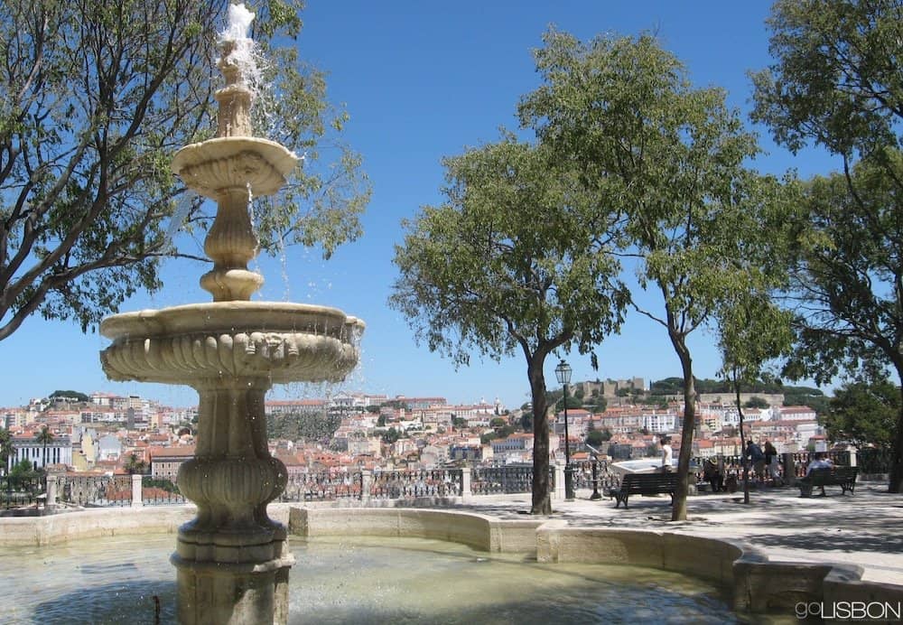 Tranquil Fountain Garden