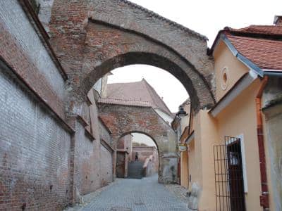 Timeless Cobblestone Path