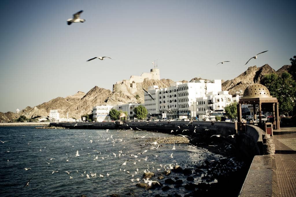 Scenic Coastal Walk