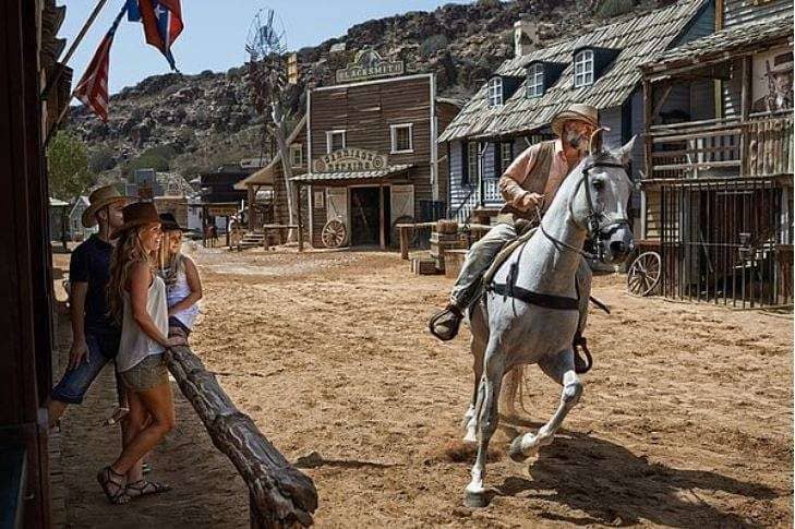 Live Cowboy Shows