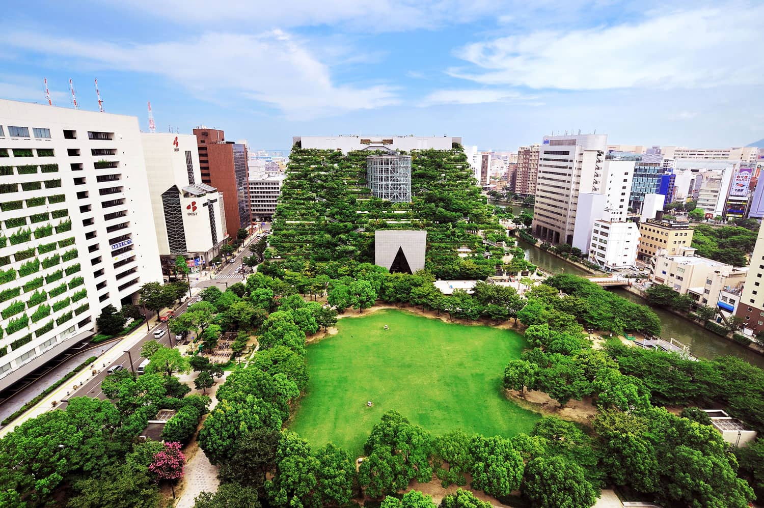 Traditional Japanese Garden