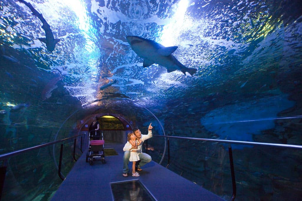 Maritime History Exhibits