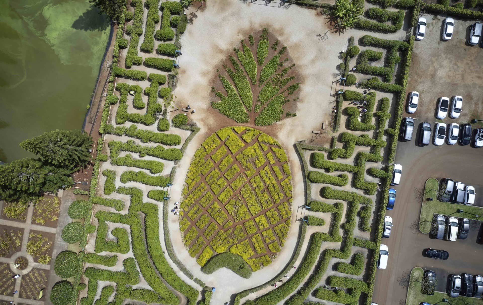World's Largest Maze
