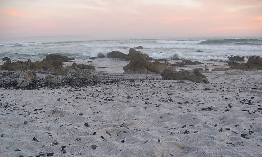 Expansive Sandy Shores