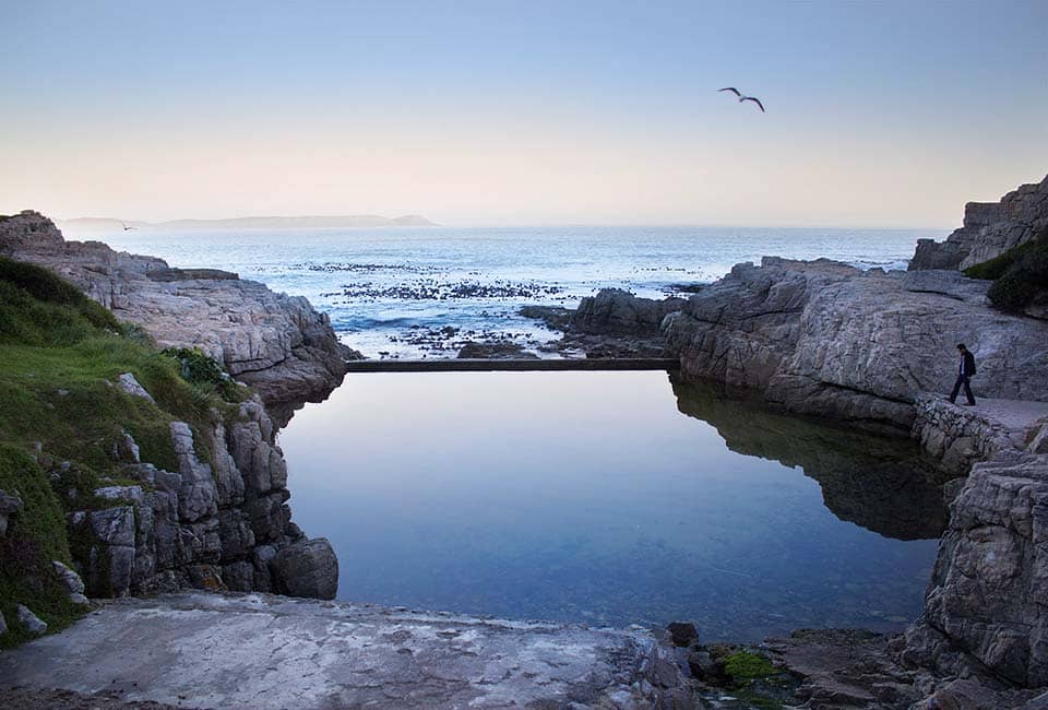 Tidal Pools