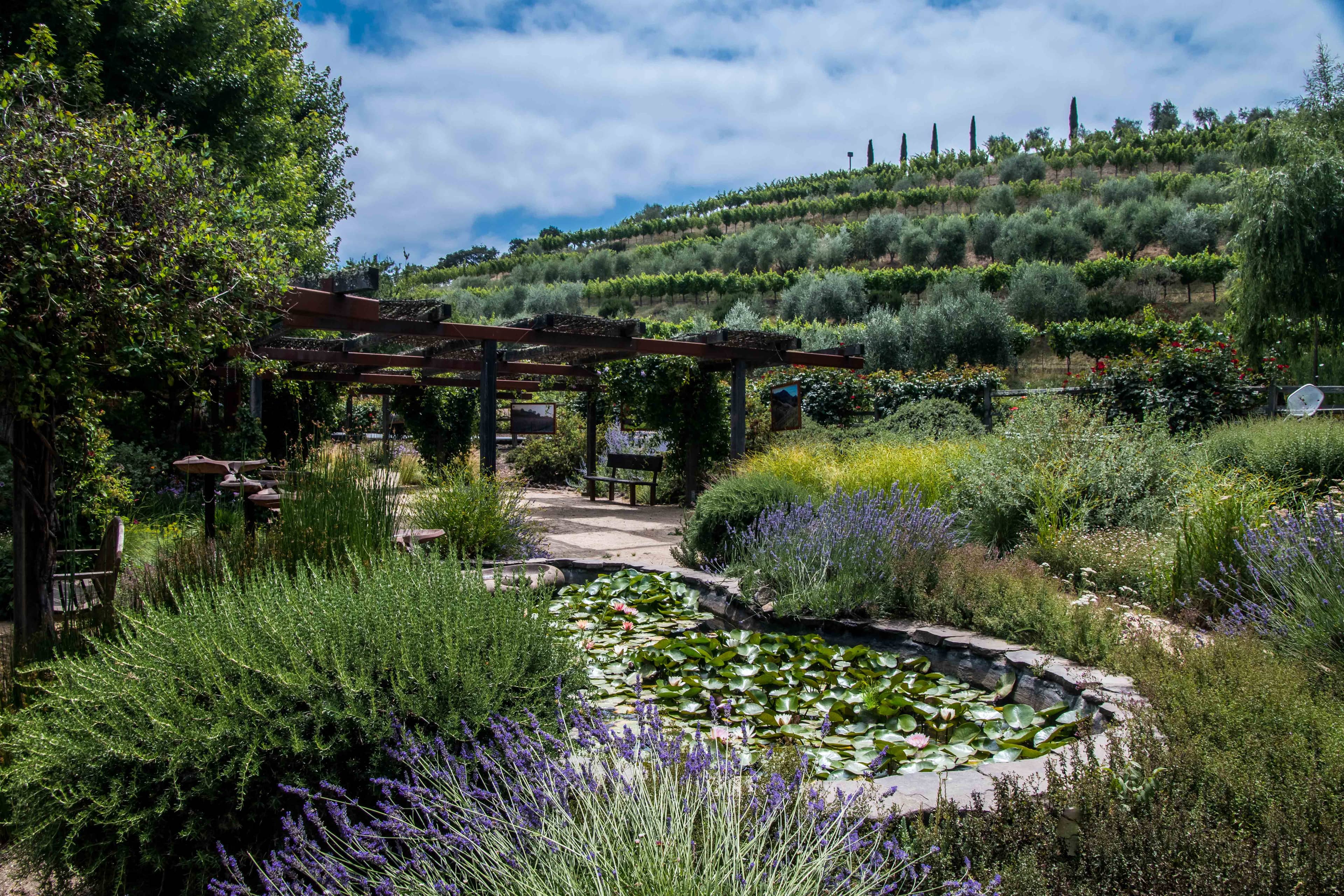 Benziger Family Winery