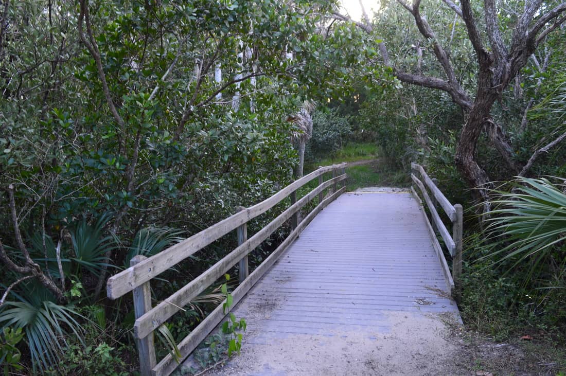 Tranquil Nature Walks