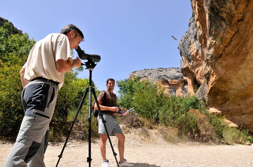 Birdwatching Hotspots