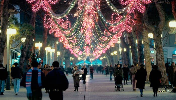 Chic Boutiques & Cafes