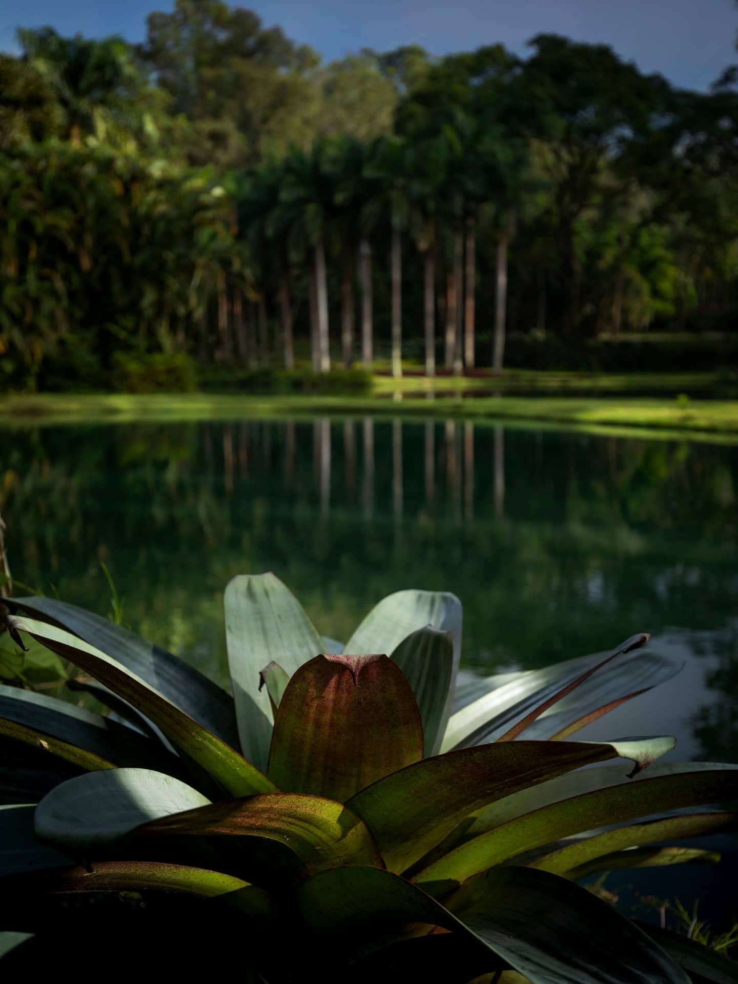 Botanical Gardens