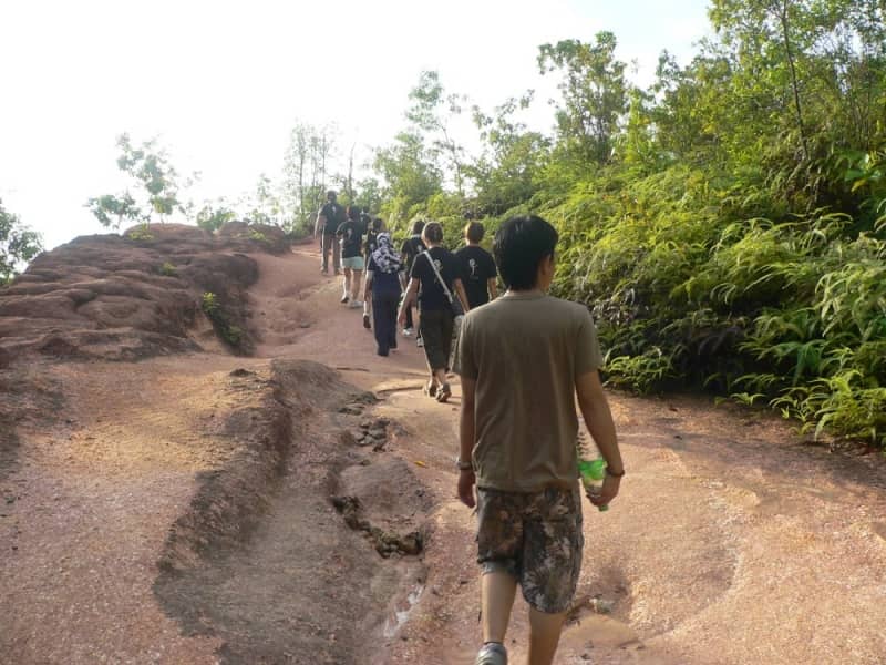 Nature Trails & Hikes
