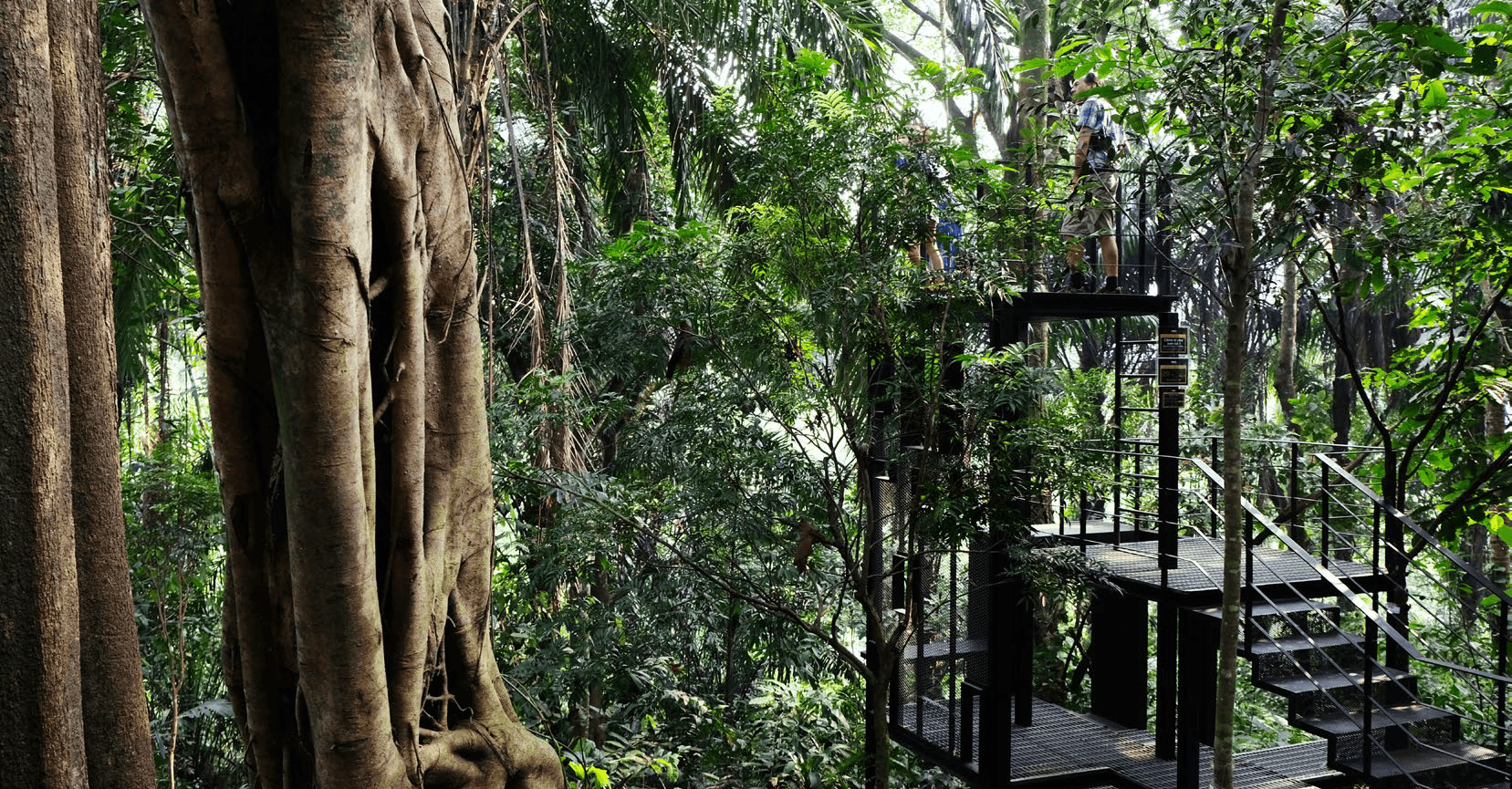 Nature Playground