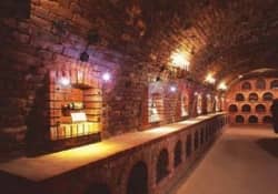 Wine Museum & Shop