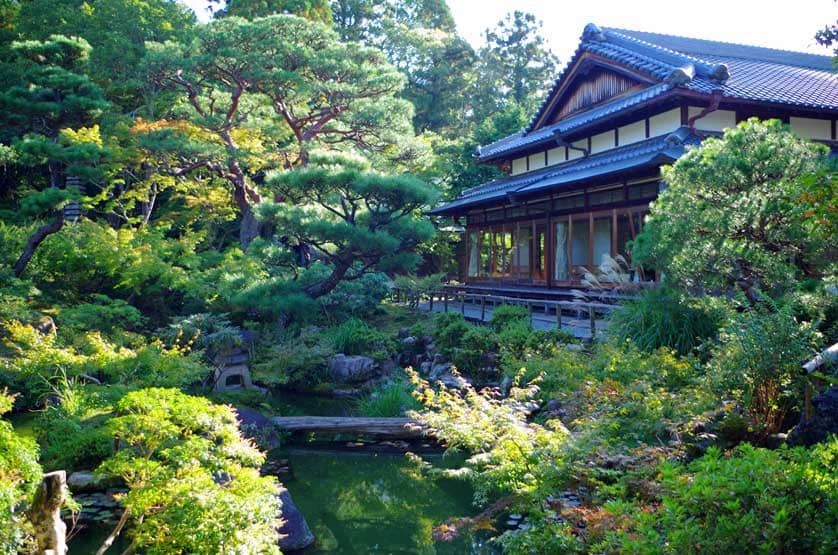 Moss Garden