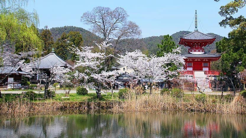Traditional Gardens