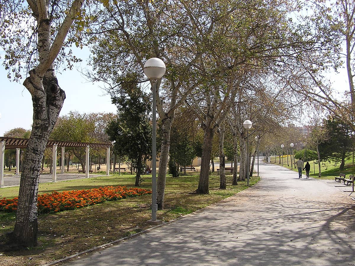 Sports Facilities