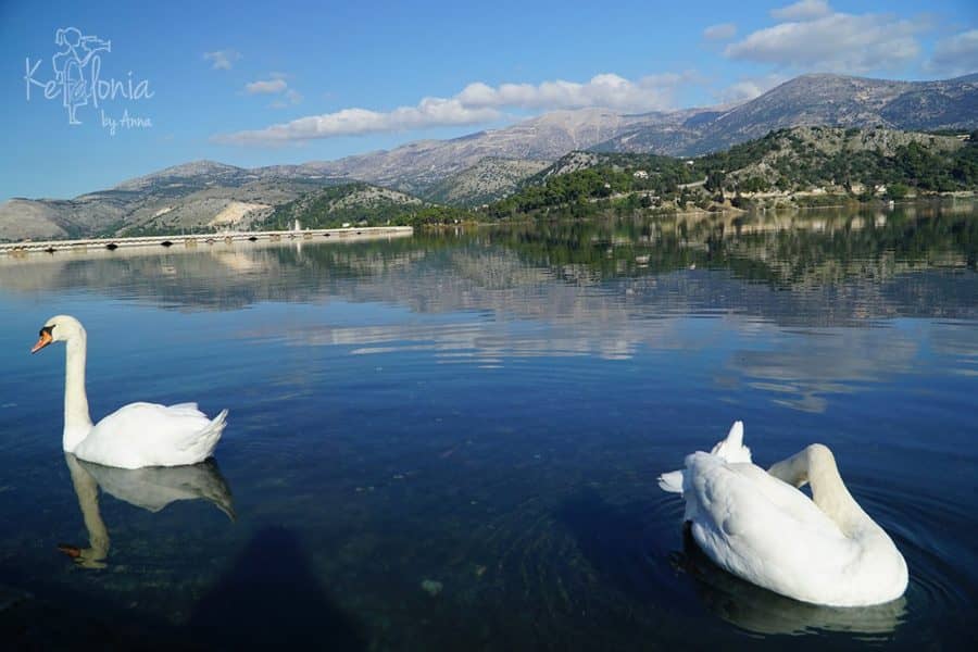 Peaceful Lagoon Stroll