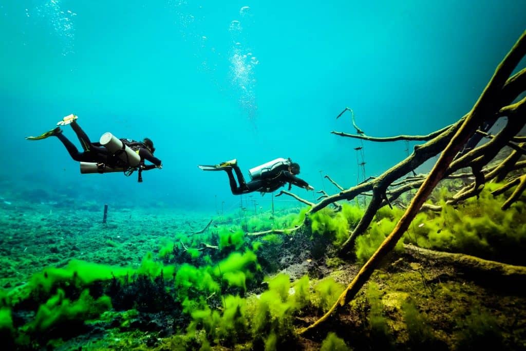 Underwater Photography Haven