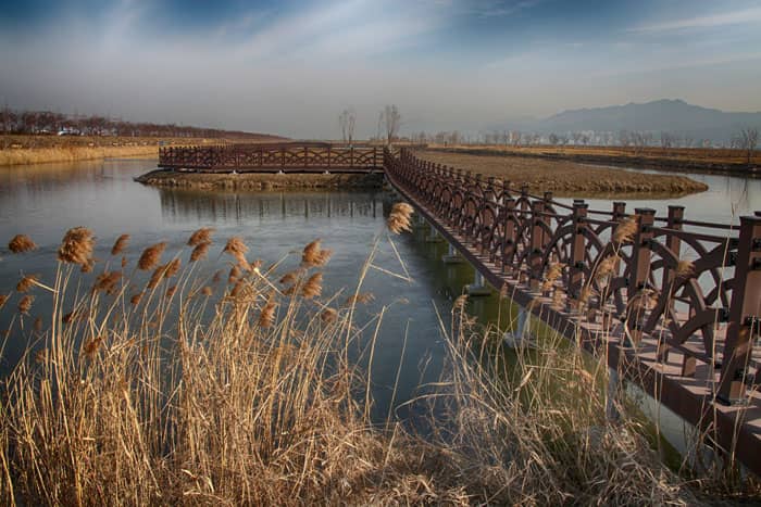 Nakdong River Views