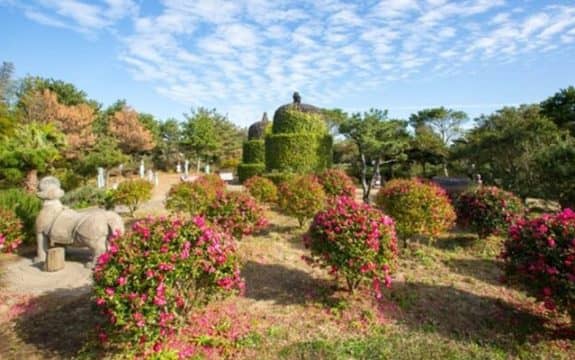 Vibrant Herb Gardens