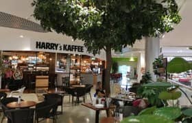 Local Boutiques & Cafes